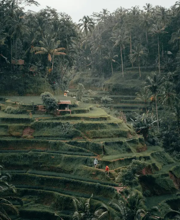 Ubud, Indonesia
